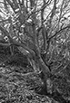 Against the Elements 16